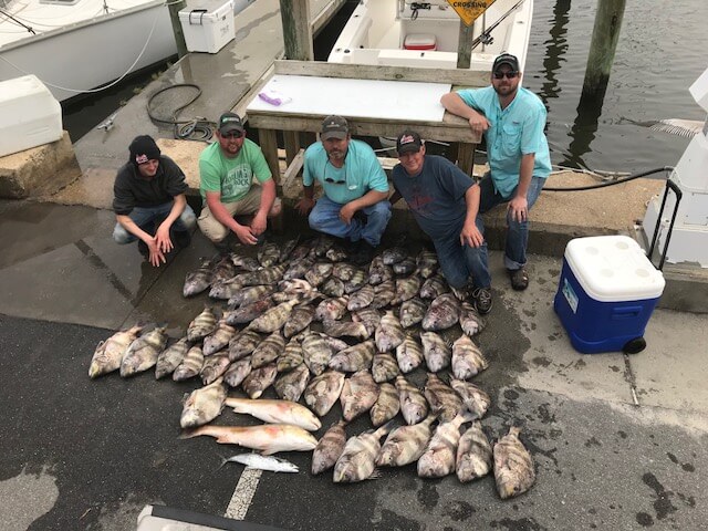 Half Day Inshore Fishing In Biloxi