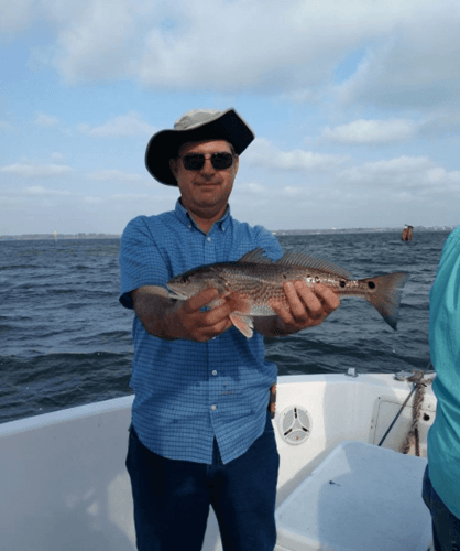 Half Day Inshore Fishing In Biloxi
