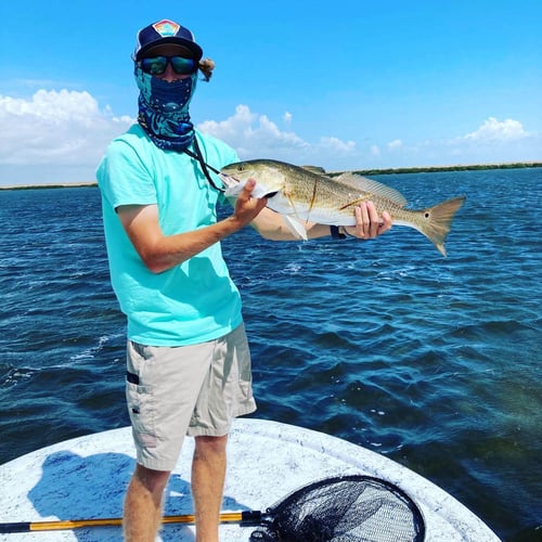 Redfish on Laguna Madre in South Padre Island