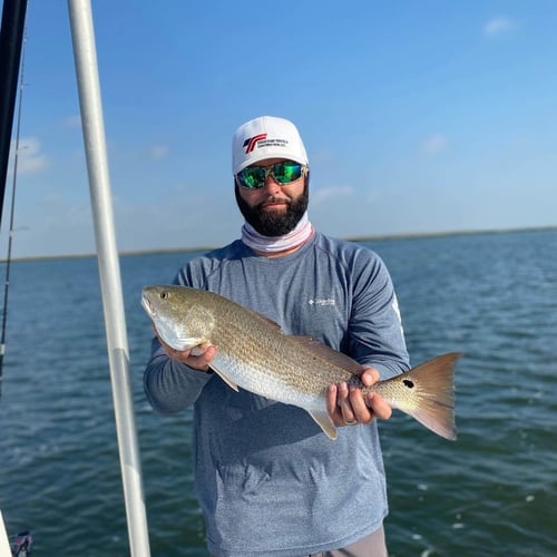 Redfish On Laguna Madre In South Padre Island