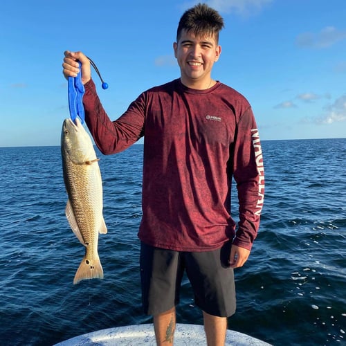 Redfish On Laguna Madre In South Padre Island