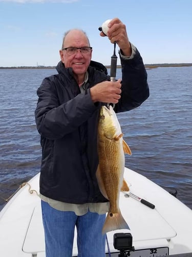 Jacksonville Rod-Bender in Jacksonville