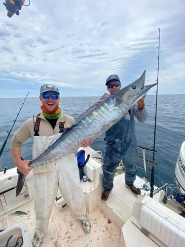 12 Hour Blue Water - 25' SeaCat In Atlantic Beach