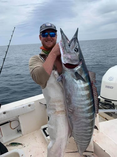 Full Or Extended Day - 25’ SeaCat In Atlantic Beach