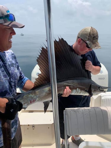 12 Hour Blue Water - 25' SeaCat In Atlantic Beach