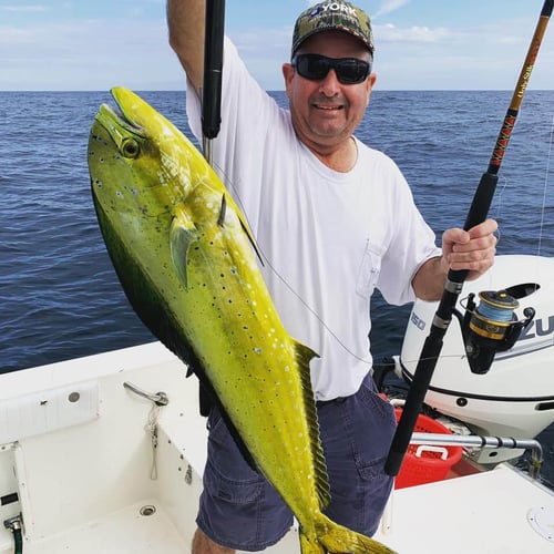 12 Hour Blue Water - 25' SeaCat In Atlantic Beach