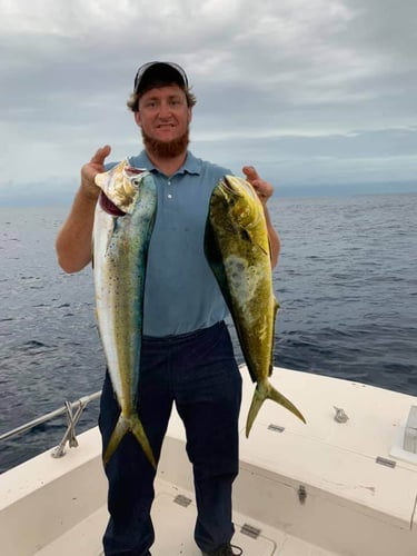 12 Hour Blue Water - 25' SeaCat In Atlantic Beach