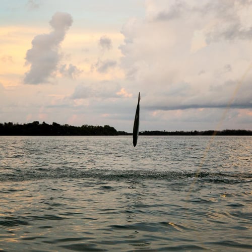 Key West On Light Tackle & Flies In Key West