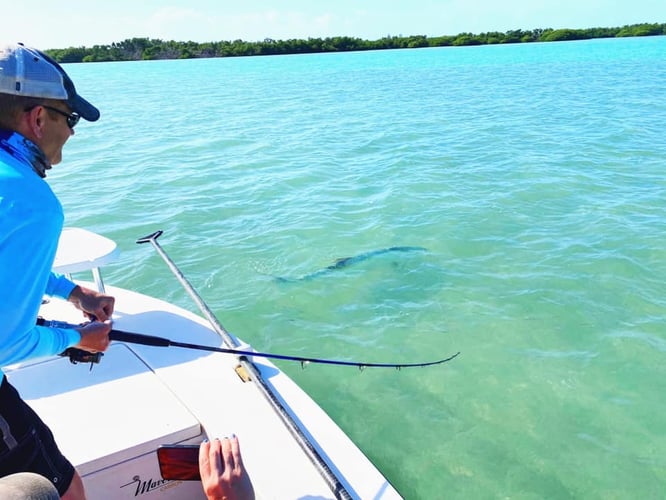 Key West On Light Tackle & Flies In Key West