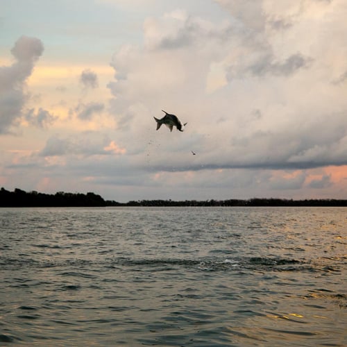 Key West On Light Tackle & Flies In Key West