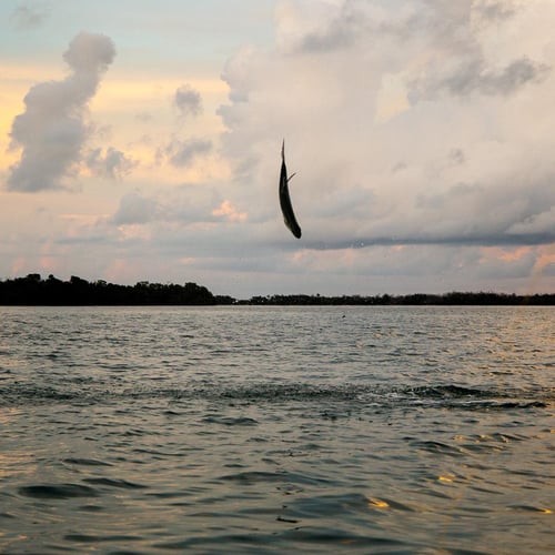 Key West On Light Tackle & Flies In Key West