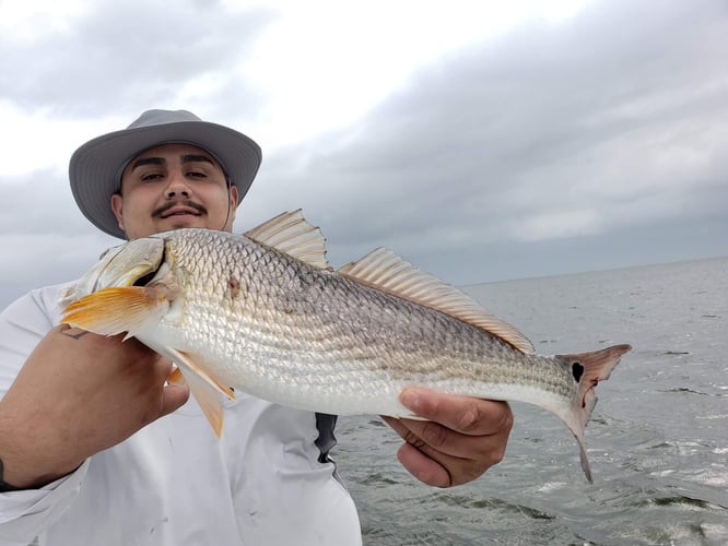 Half-day - 21’ Shallow Stalker In Port Isabel