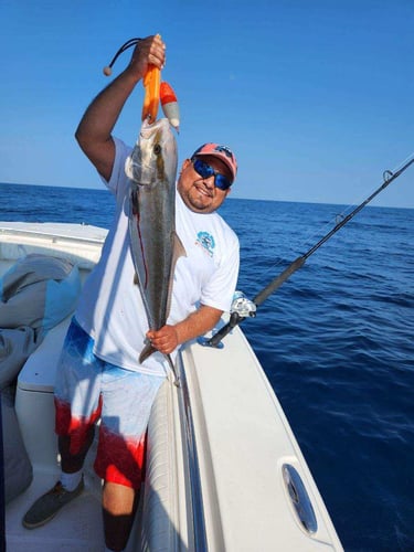 Nearshore/Offshore NC Special In Wrightsville Beach