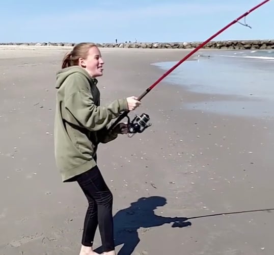 Screaming Drag Surf Fishing In Stone Harbor