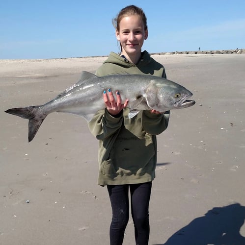 Screaming Drag Surf Fishing In Stone Harbor