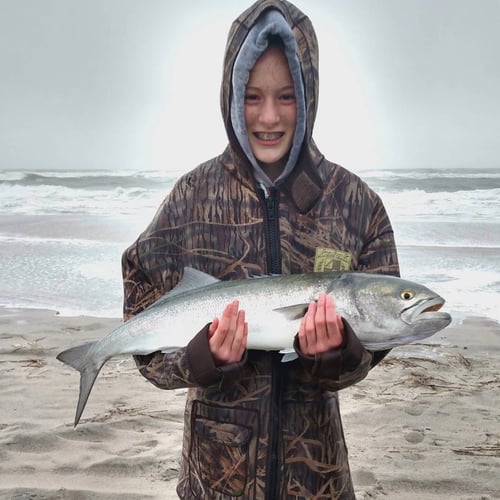 Screaming Drag Surf Fishing In Stone Harbor