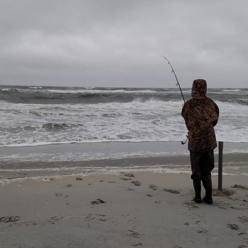 Screaming Drag Surf Fishing In Stone Harbor