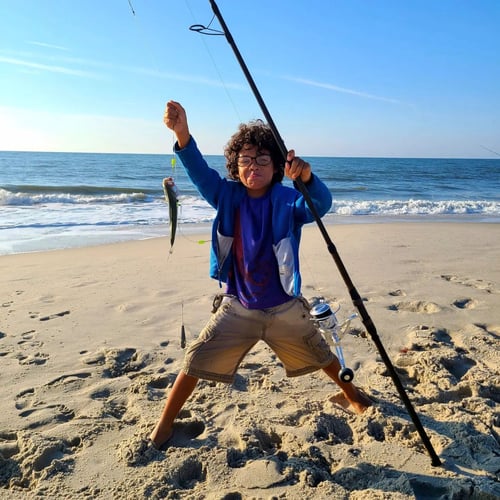 Screaming Drag Surf Fishing In Stone Harbor