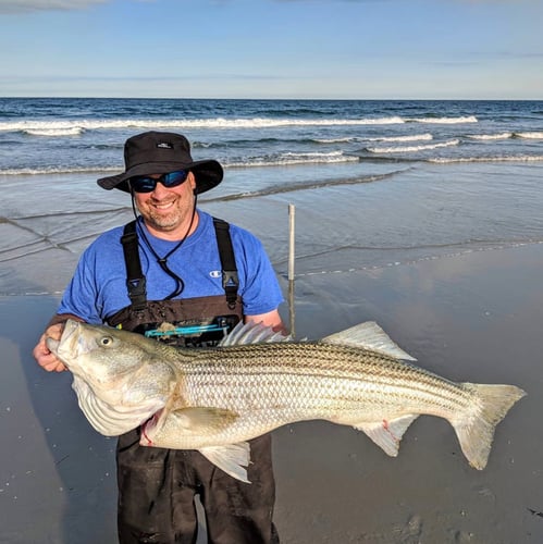 Screaming Drag Surf Fishing In Stone Harbor