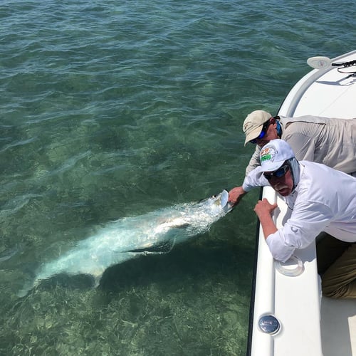 Evening Tarpon Slam In Key West