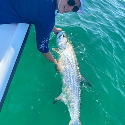 Evening Tarpon Slam In Key West