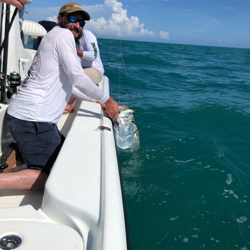 Evening Tarpon Slam In Key West