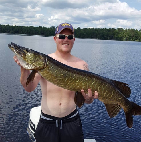 Wallhanger Musky Guide Trips In Eagle River