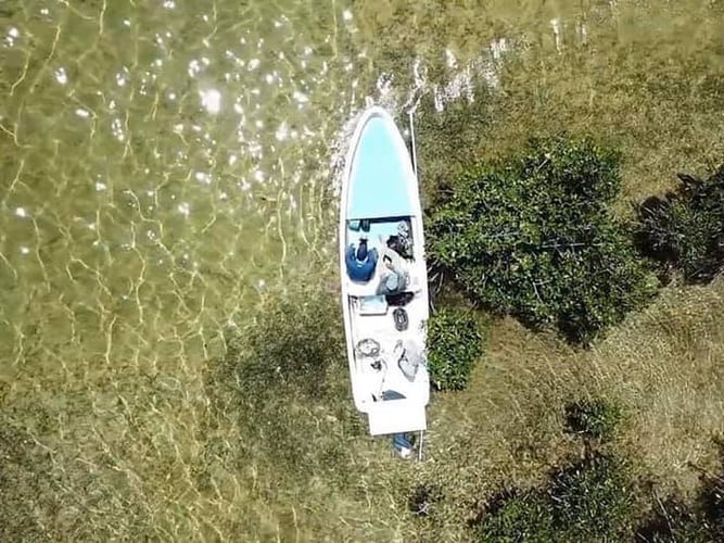 Cancun on the Fly in Cancún