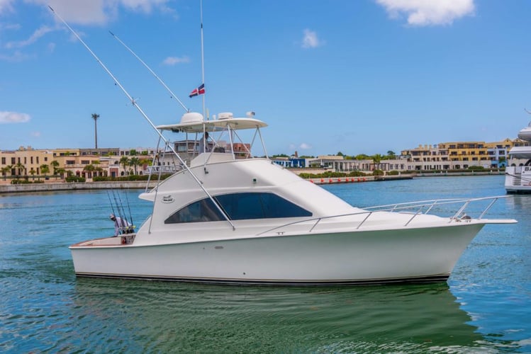 4-6 Hour Offshore (Pick Up Included) - 42' Ocean Yachts