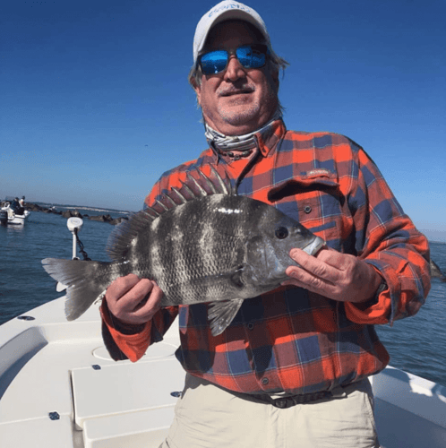Slaying Sheepshead - 24' Pathfinder in Jacksonville
