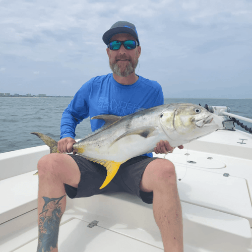 Tarpon and Shark Action in Jacksonville
