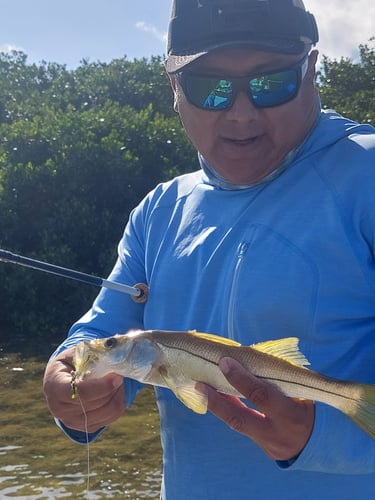 Fly Fishing Cancun In Cancún