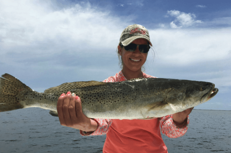 6 Hour Fishing Trip - 23’ Parker