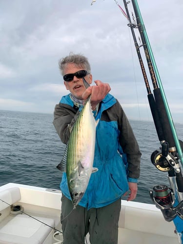 4-8 Hours Fishing Trip - 23’ Regulator