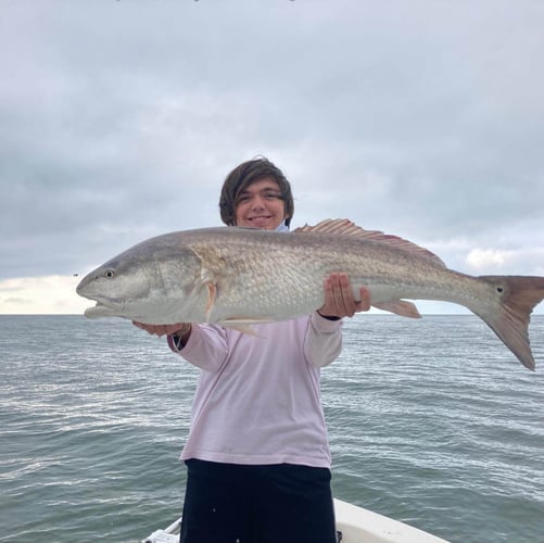 Pamlico Sound Bull Reds In Oriental