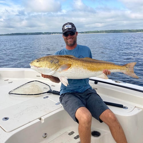 Pamlico Sound Bull Reds In Oriental