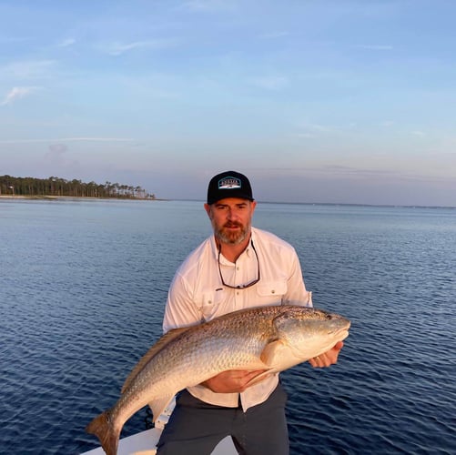 Pamlico Sound Bull Reds In Oriental