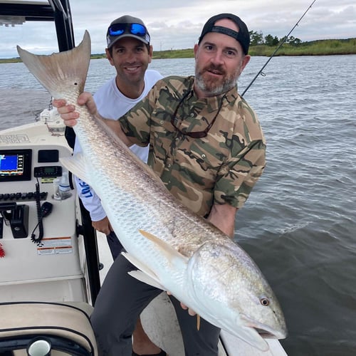 Pamlico Sound Bull Reds In Oriental