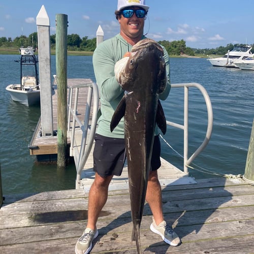 Nearshore Trolling And Bottomfishing In Wrightsville Beach