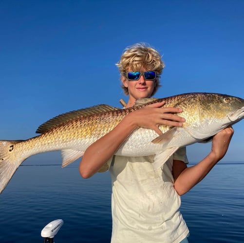 Pamlico Sound Bull Reds In Oriental