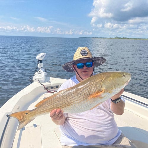 Pamlico Sound Bull Reds In Oriental