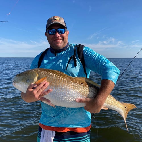 Pamlico Sound Bull Reds In Oriental