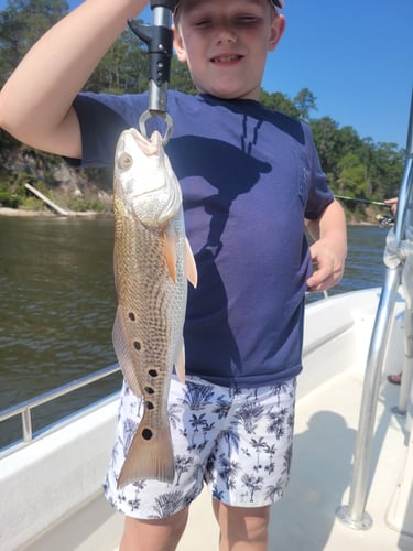 30A Kids Trip In Santa Rosa Beach