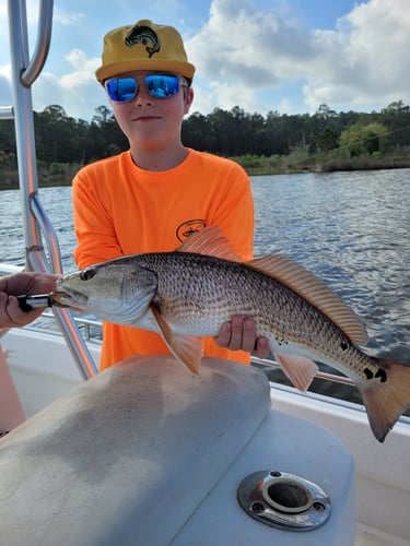 30A Kids Trip In Santa Rosa Beach