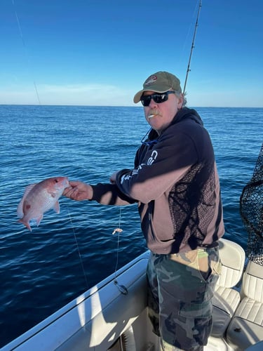 Combo Trolling and Bottom Fishing in North Charleston