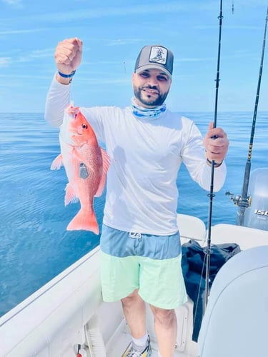 Combo Trolling and Bottom Fishing in North Charleston