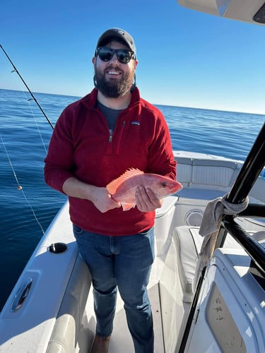 Combo Trolling and Bottom Fishing in North Charleston