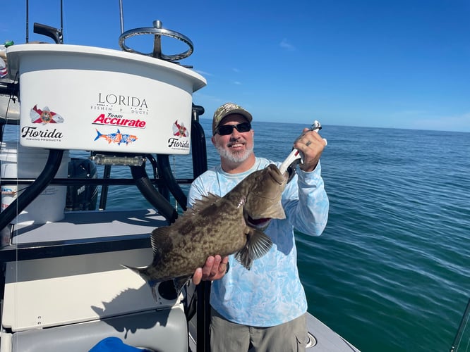 Grouper Special In Crystal River