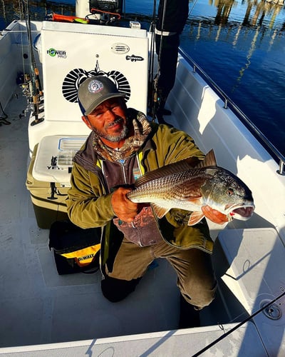 Full Day Inshore - 26' Skeeter In Charleston