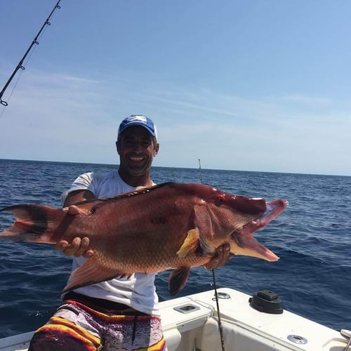 Full Day Inshore - 26' Skeeter In Charleston